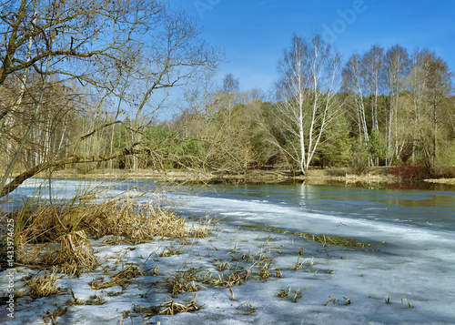 Obraz na płótnie Trees at the shore of a lake covered with ice in early spring w salonie