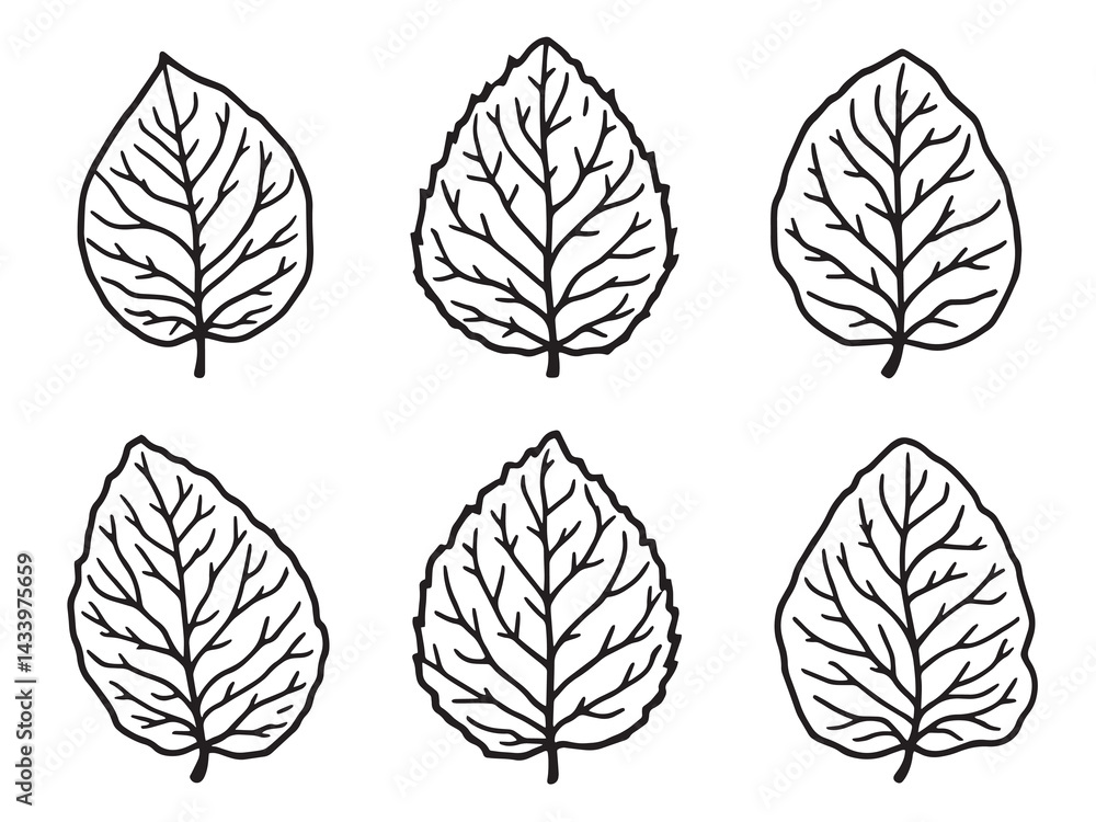 Obraz premium Carolina Jessamine Leaf Elegant Line Art Drawing