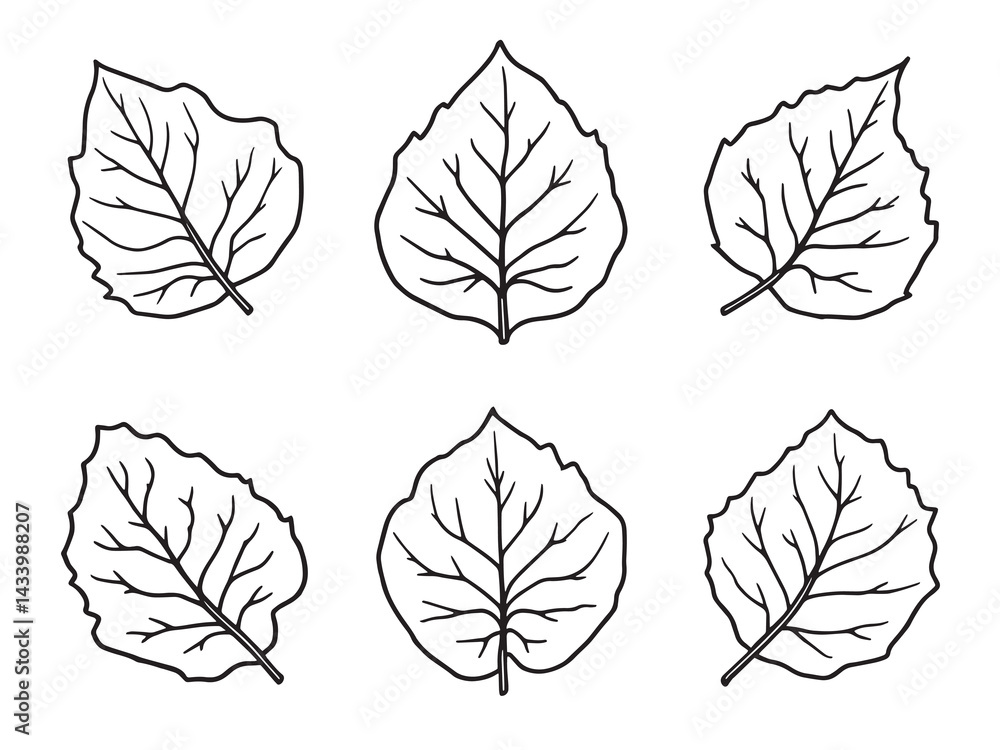 Fototapeta premium Detailed Line Art of Bougainvillea Leaf in Elegant Design 