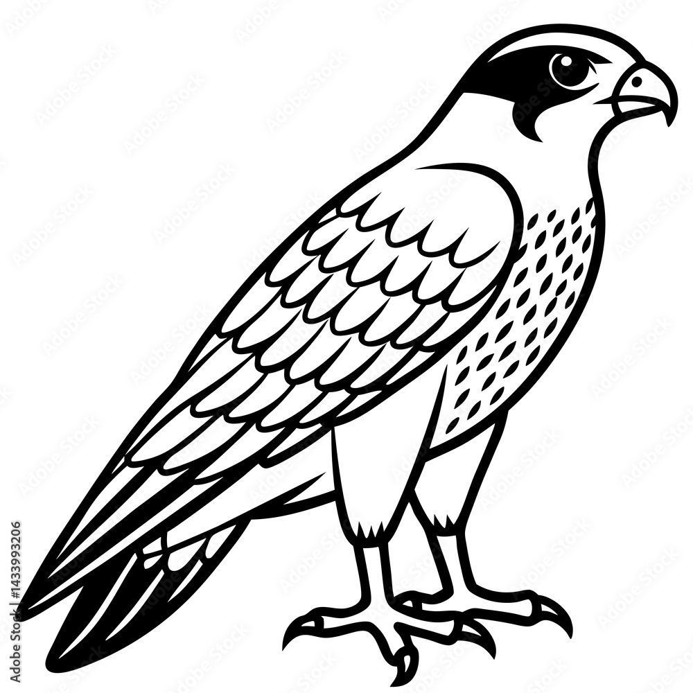 Fototapeta premium Sleek Falcon Outline Vector Illustration