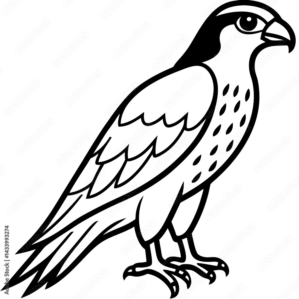 Fototapeta premium Sleek Falcon Outline Vector Illustration