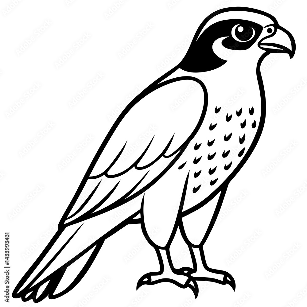 Fototapeta premium Sleek Falcon Outline Vector Illustration