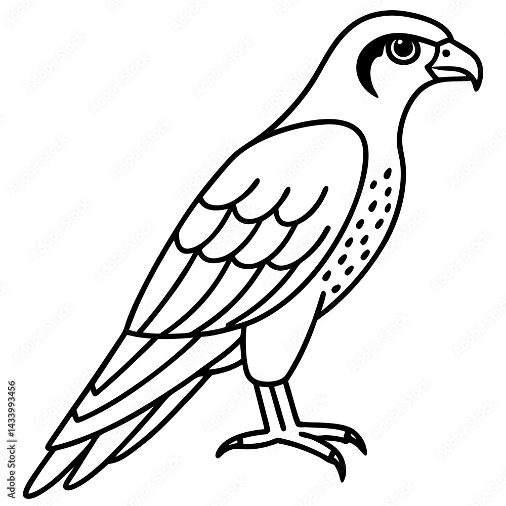 Obraz premium Sleek Falcon Outline Vector Illustration