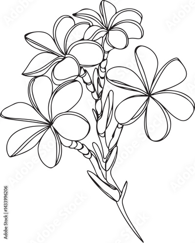 Black line minimalist plumeria flower sketch in continuous line art style isolated on white background representing elegant tropical floral vector illustration