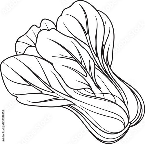 Black continuous line drawing of bok choy vegetable in minimalist vector style on white background perfect for clean organic food packaging or culinary branding
