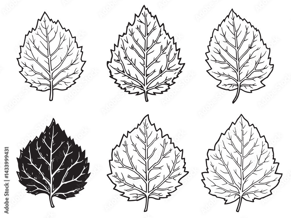 Obraz premium Elegant Chestnut Leaf Line Art Drawing for Nature Lovers