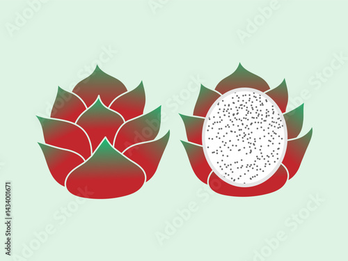 exotic tropical dragon fruit flat vector illustration