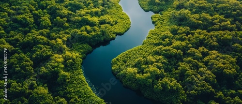 Obraz na płótnie A river with a green forest on both sides w salonie
