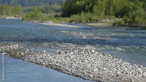 Chilliwack River (tilt up) as seen from the Vedder Rotary Trail North during a spring season in Chilliwack, Fraser Valley, British Columbia, Canada