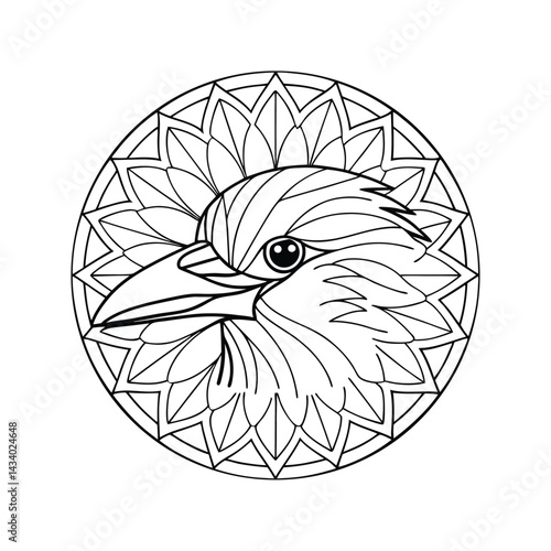 Detailed crow illustration in circular mandala black and white design coloring page for adults