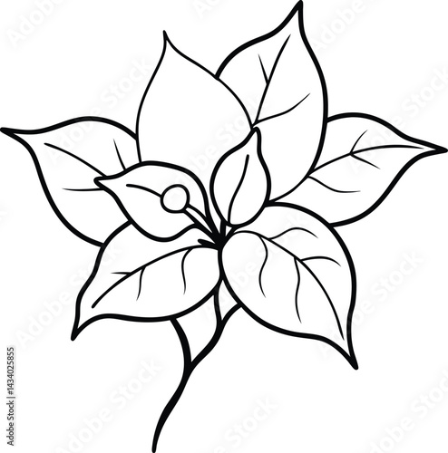 Flower with Leaf Outline on Transparent Background, Floral Black and White Design