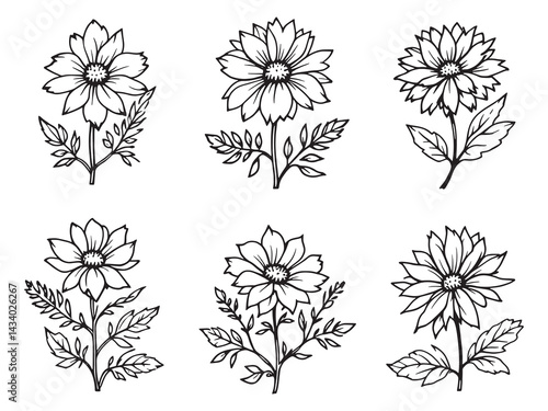 Wallpaper Mural Hand Drawn Edelweiss Flower Illustration in Line Art Style  Torontodigital.ca
