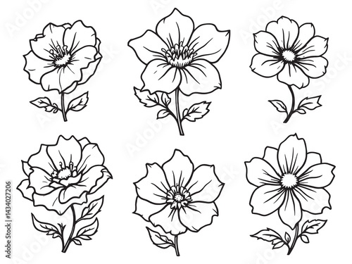 Hand drawn gentian blossom outline for design projects