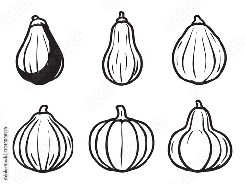 Minimalist Courgette Vector Illustration for Eco-Friendly Projects 