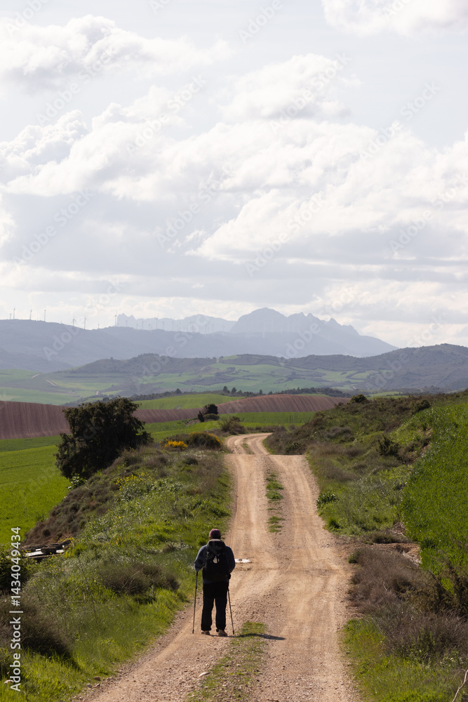 Obraz premium Solo hiker walking along a rural trail with trekking poles, facing distant mountains and wind turbines under a cloudy sky. A peaceful moment of adventure in nature.