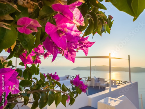 Obraz na płótnie Beautiful sunset at Santorini island, Greece. Blooming pink flowers on the terrace with sea view w salonie