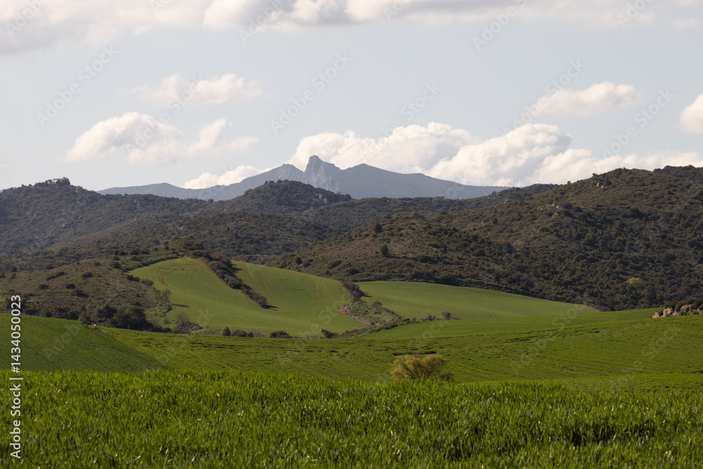 Obraz premium Scenic view of rolling green fields and distant mountains under a cloudy sky. A tranquil rural landscape showcasing natural beauty and peaceful countryside atmosphere.