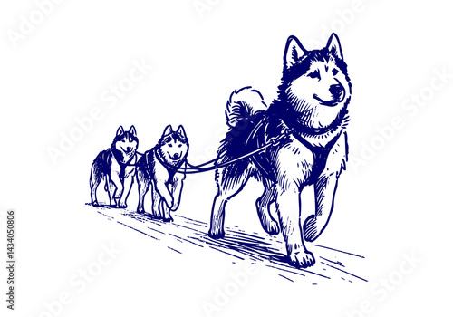 Siberian Husky Dog Hand Drawn Illustration Sketch Vector Isolated by AZ for Books, Arts, Design and Decoration Graphic Asset