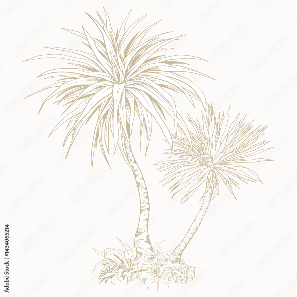 Fototapeta premium Yucca Palm Tree in Line Art Style. Minimalist botanical vector perfect for prints, branding, packaging, and modern design projects.