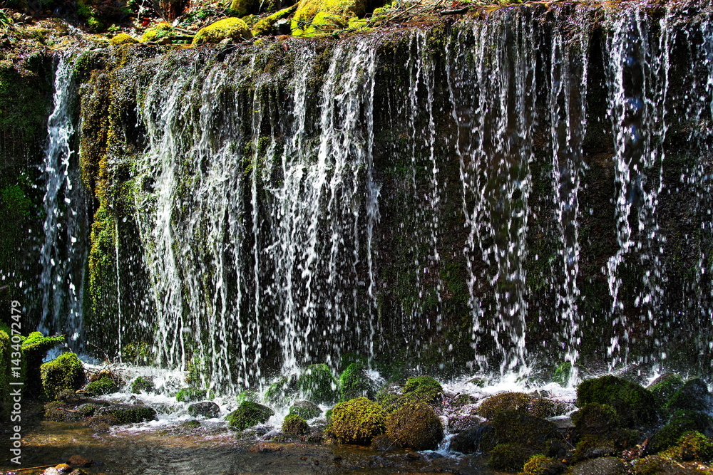 Obraz premium 自然の造形