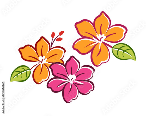 frangipani flower isolated on white