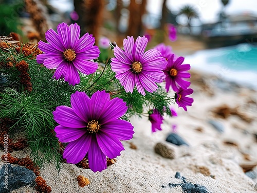 Obraz na płótnie Stunning Bright Purple Flowers Blooming on Sandy Beach Close Up Photography with Ocean Waves and Palm Trees in Tropical Paradise Scenic Nature Landscape Background w salonie