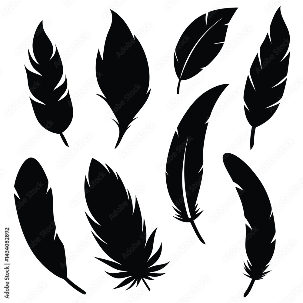 Obraz premium feathers vector illustration