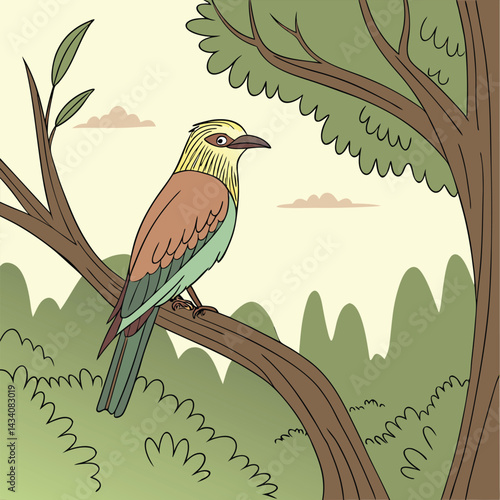 Brid on Cockscomb colorful flowers in the garden blue yellow brid isolated on transparent background cutout