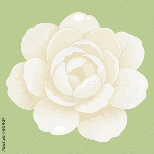 Minimalist top view vector of a white jasmine flower on pastel green background.
Perfect for botanical themes, Thai floral design, and elegant nature illustrations.