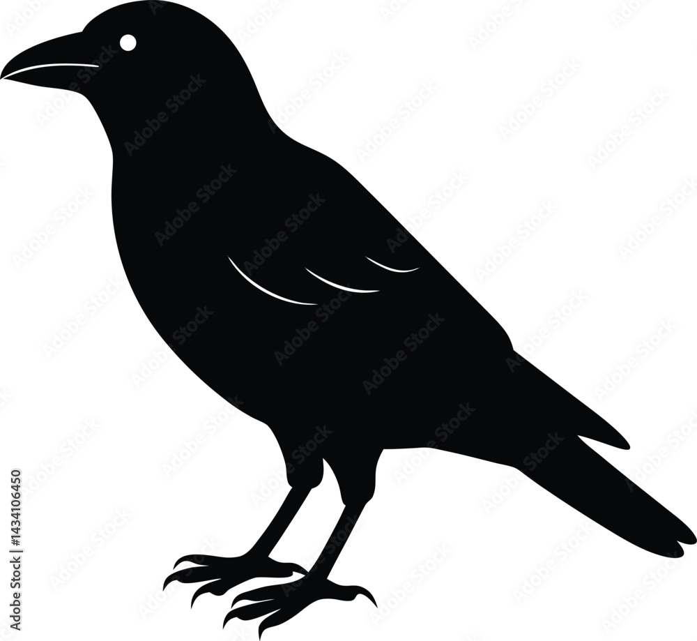 Obraz premium crow on a white background