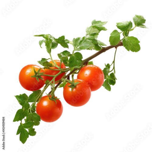 A branch with ripe red tomatoes and vibrant green leaves.