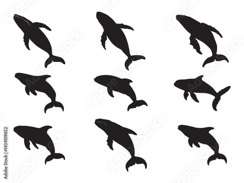 Set of dolphin silhouette on transparent background