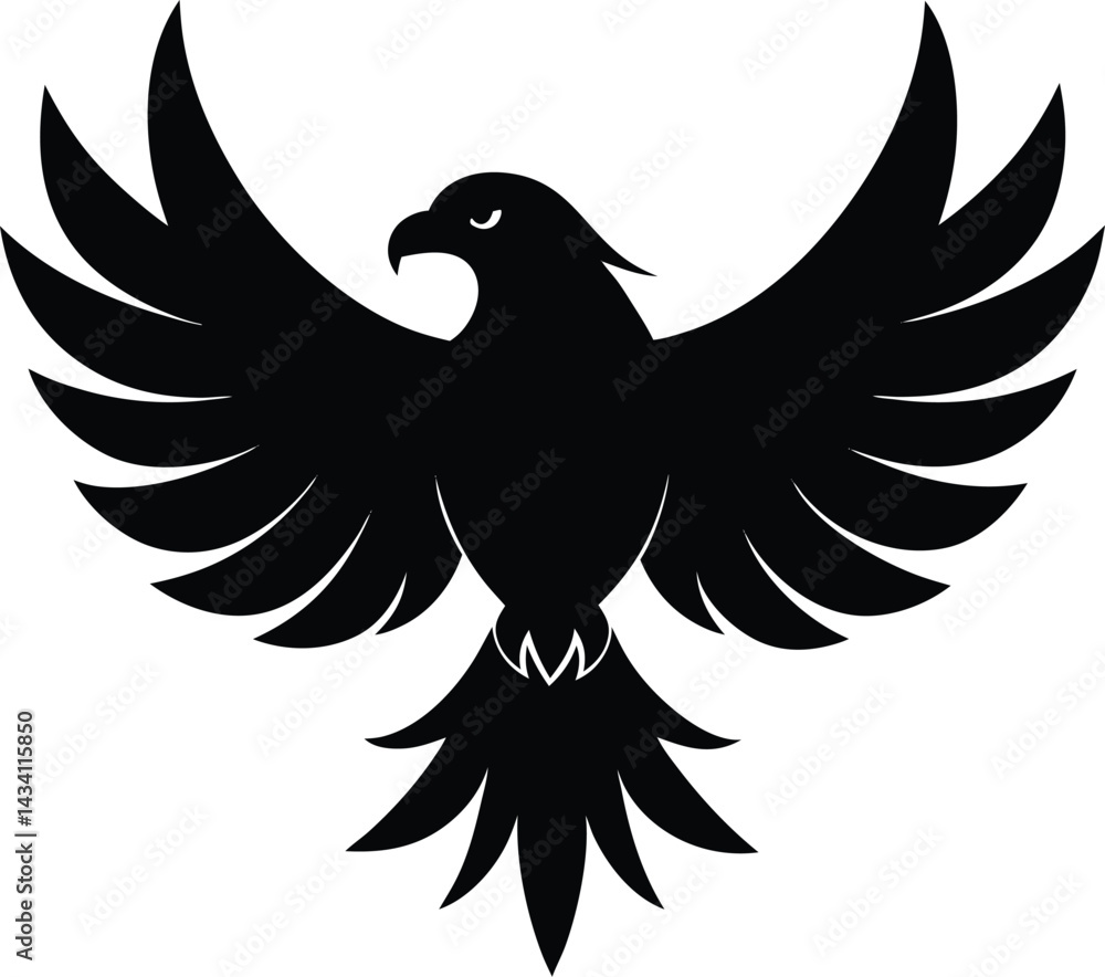 Obraz premium eagle with wings