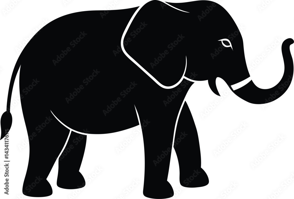 Fototapeta premium elephant isolated on white