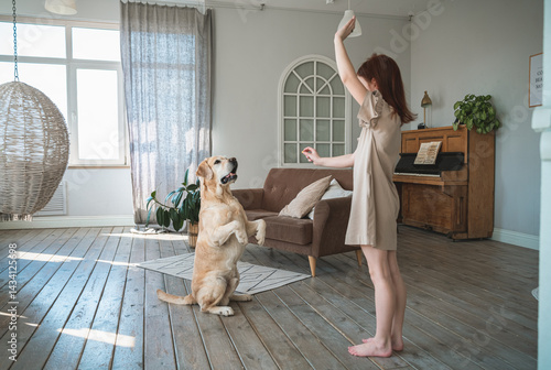 Εκτύπωση καμβά Happy child training adorable labrador retriever to balance on hind legs in cozy