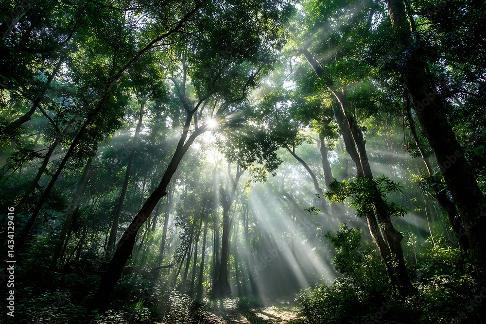Fototapeta premium Dynamic sunbeams in green forest canopy bold artwork 