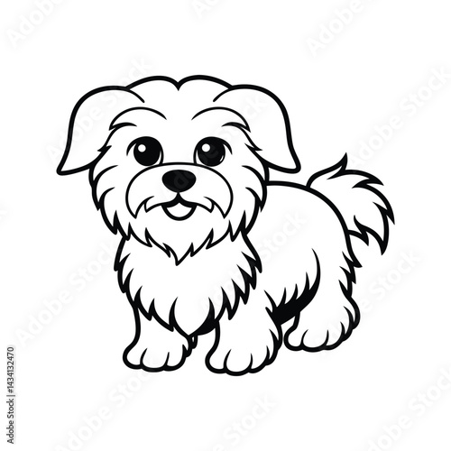 Cute Havanese dog with expressive eyes silhouette isolated on white background