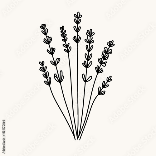 Minimalist line art illustration of lavender stems with delicate flowers