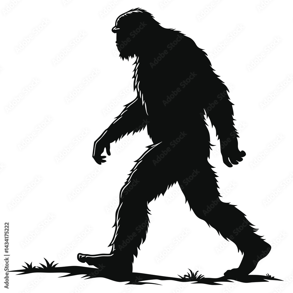 Fototapeta premium bigfoot walking silhouette on white background