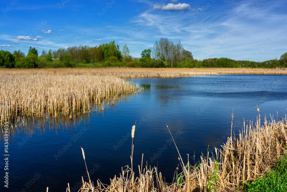 Wiosenny spacer w słońcu, Stawy Dolidzkie, Podlasie, Polska