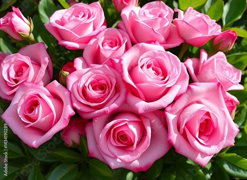Vibrant Pink Rose Bouquet