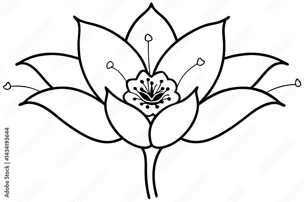 Labeled Botanical Flower Structure - Vector Diagram v2 Labeled Botanical Flower Structure - Vector Diagram v2
