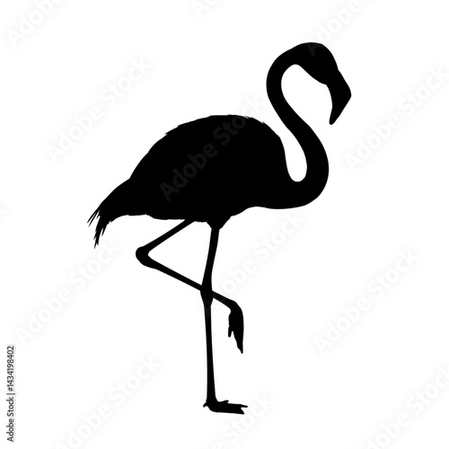 flamingo silhouette – vector illustration