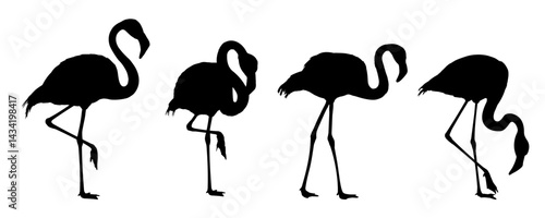 Set of flamingo silhouettes – vector illustration