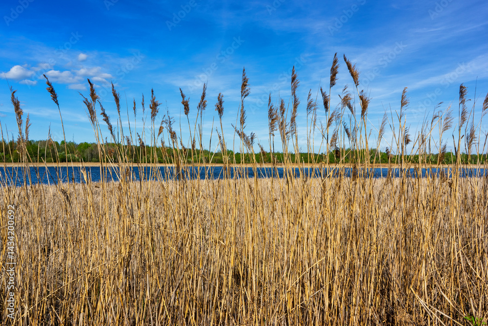 Wiosenny spacer w słońcu, Stawy Dolidzkie, Podlasie, Polska