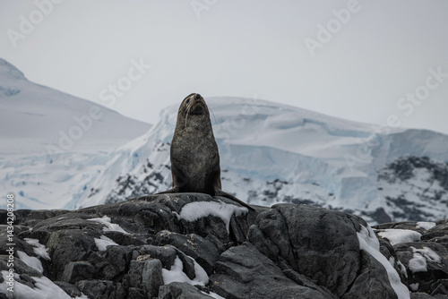 Fourseal
