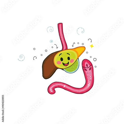 Adorable cartoon-style illustration of human digestive organs including the stomach, liver, and intestines, depicted with happy smiling faces. Surrounded by playful doodles, this vector is perfect for