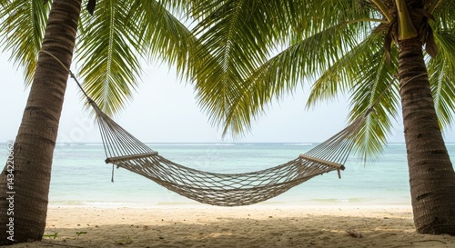 Serene Hammock Between Palm Trees on Tropical Beach