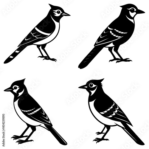 Blue Jay Silhouette vector illustration