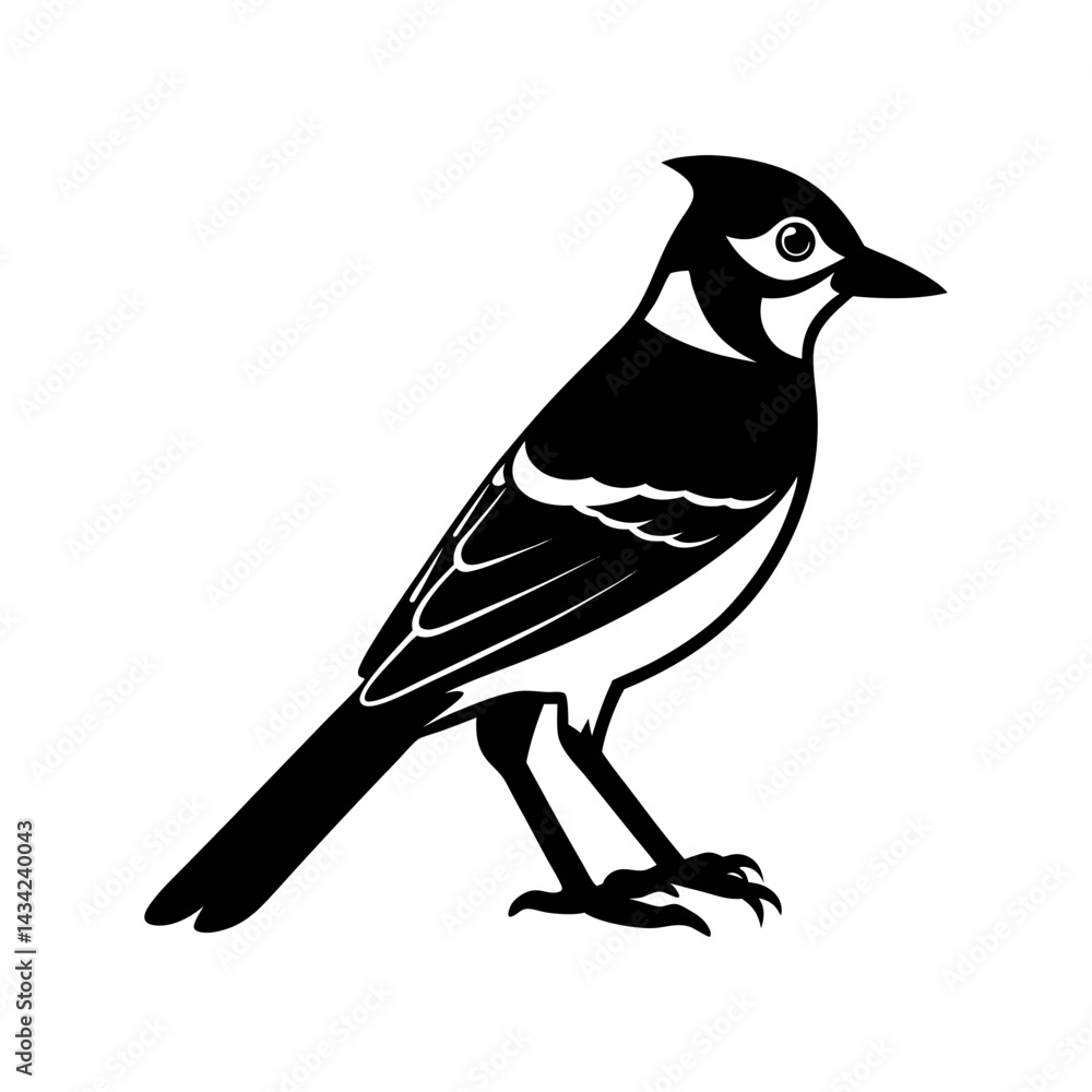 Obraz premium Blue Jay Silhouette vector illustration